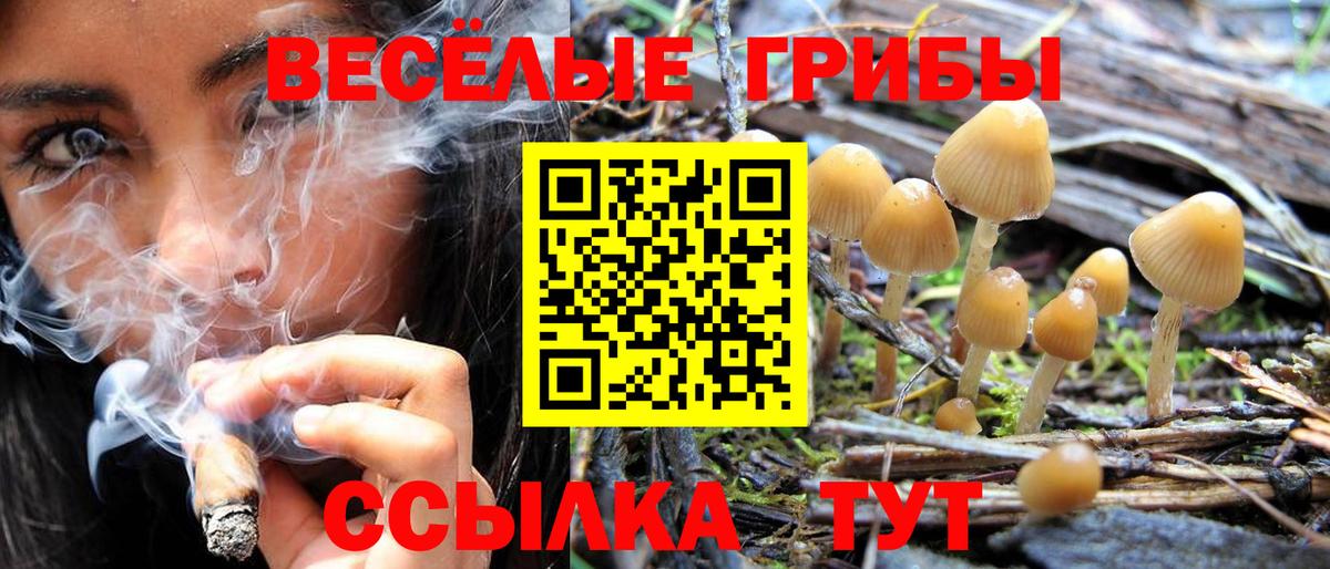 Лесосибирск  Псилоцибиновые грибы ЛСД  наркотики  Вход с VPN  Псилоцибиновые грибы Cubensis 